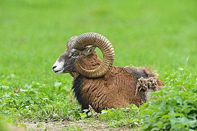 FANTHFUL出品：《跑车浪漫旅》主题官方正版授权周边即将推出